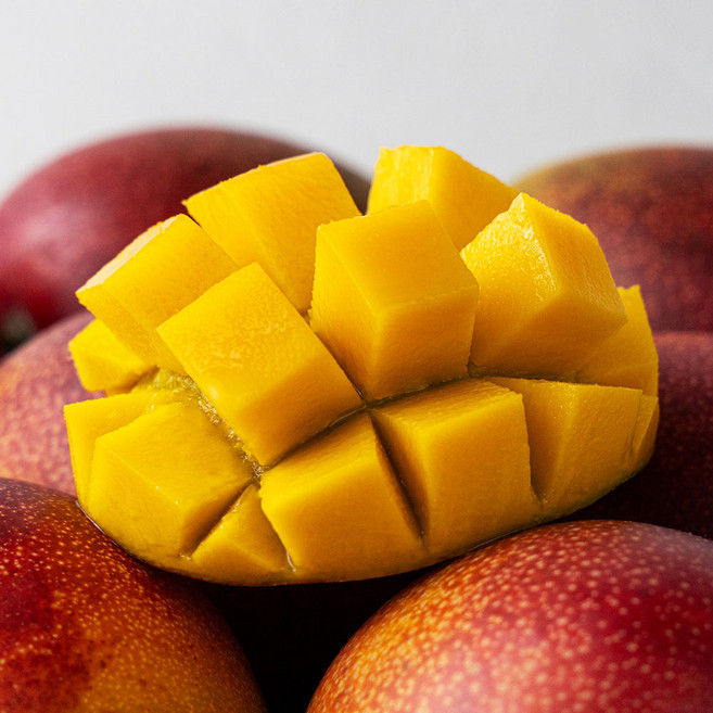 제주 애플망고, 1개, 특대 3kg (6~9과)