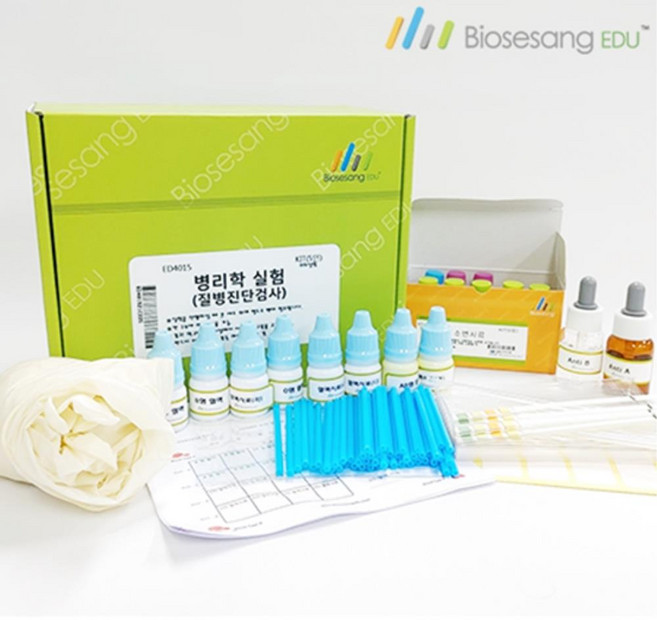 병리학실험 소변검사 모의혈액형 진단(5인용)키트 과학수업 생물