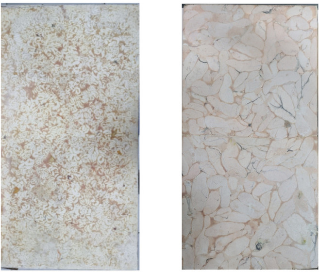 동태 고니(구물) 명란 7.5kg 생선 곤이 알탕 재료 명태 알 업소용 도매, 명란7.5KG, 1개