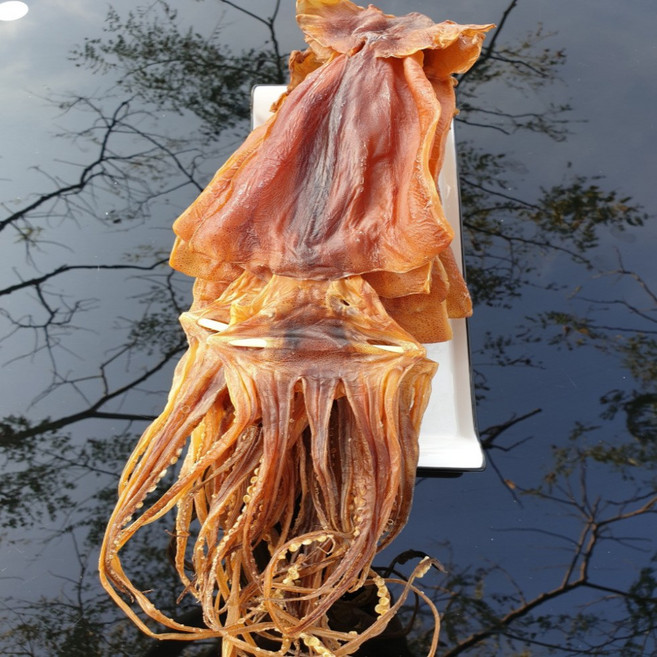 굽지않고 간편하게 국내산 쫄쫄이 오징어 1.0 (중) 5미 10미 맥주안주 건어물 마른오징어 산지직송, 1개, 500g 10미