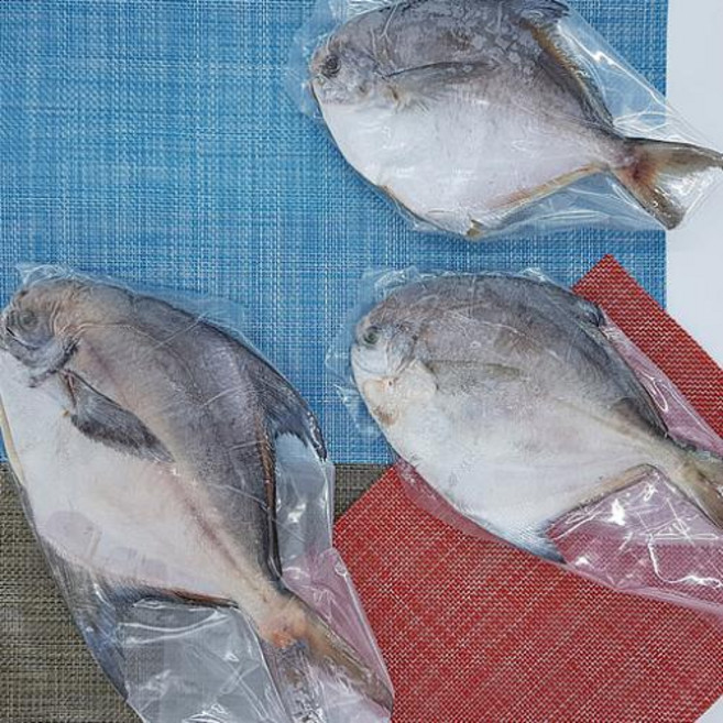 패스트글로비몰 싱싱한 살많은 국산 병어 1팩 1마리 250g 냉동, 250G한팩, 1개