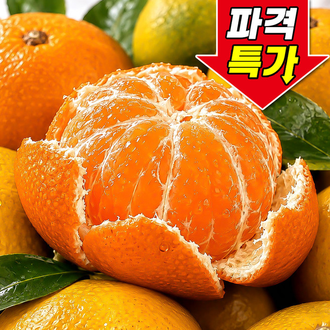 [꿀팜즈] 산지직송 초고당도 제주 감귤, 1박스, 5kg (로얄과)