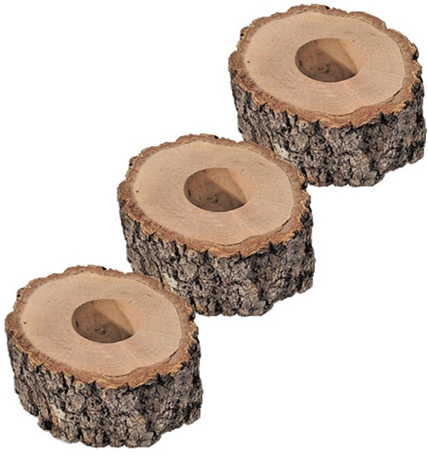 곤충용 고급 먹이목 3P 장수풍뎅이 사슴벌레 굴참나무 물푸레나무, 1개