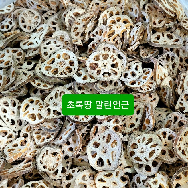 무농약 흙연근 1kg 2kg 3kg 5kg 국산 10년째 [초록땅], 1개, 말린연근 200g