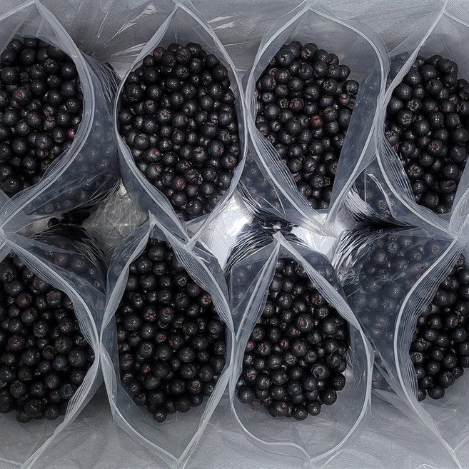 냉동 특품 꼭지제거 아로니아생과 (1kg씩 지퍼팩포장), 1박스, 냉동 꼭지제거 아로니아생과 5kg