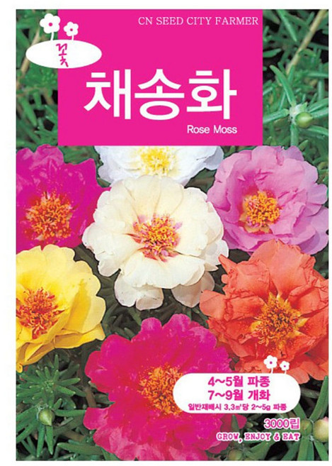 채송화 꽃씨앗 꽃씨 3000립, 3개