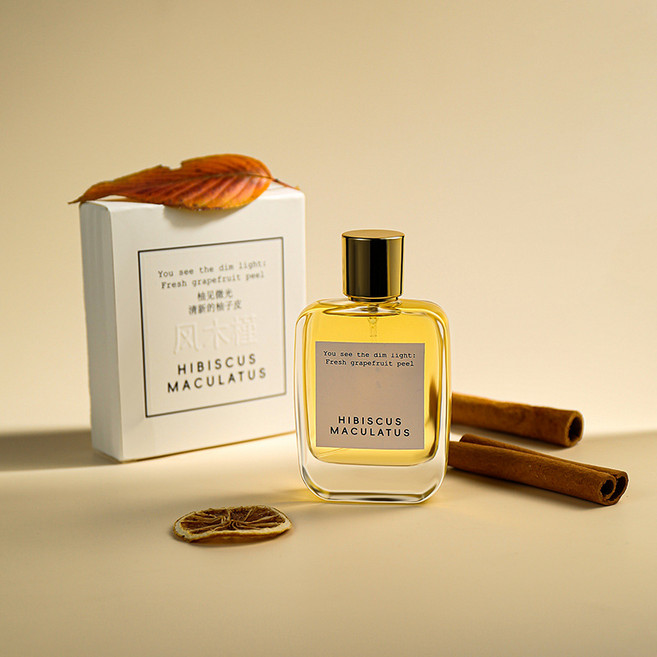 오래 지속되는 은은한 자몽향 여성 향수 데일리 학생 추천, 3개, 50ml