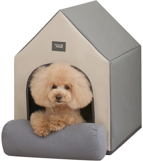 초코펫하우스 에브리데이 하우스 2.0, 사계절 베이직, 1개