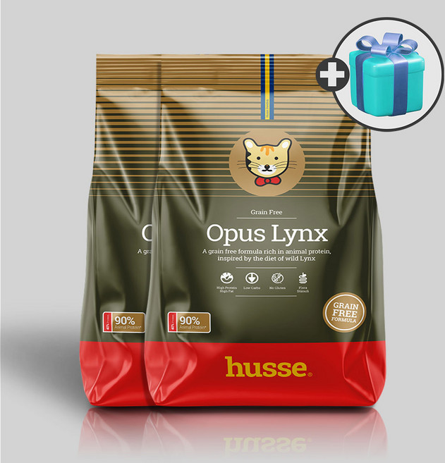 후새 캣 오퍼스링크스 + 우리집상전 사은품, 2.72kg, 1개, 닭