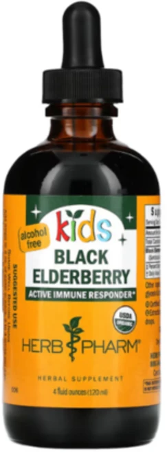 허브팜 영유아 액상 블랙 엘더베리 추출물 대용량 120ml 만1세이상, 1개 - 쿠팡