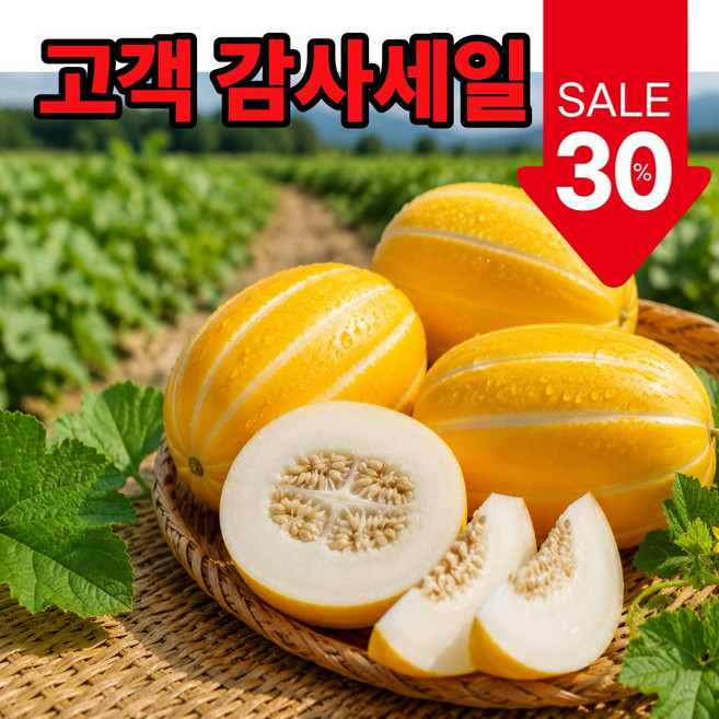 [감사세일] 초고당도 성주 꿀 참외 못난이, 1개, 5kg