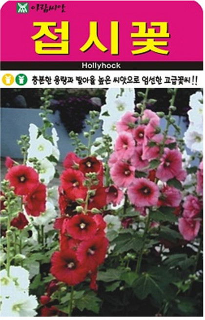 접시꽃 씨앗 (합 200립) 꽃씨 꽃 종자, 2개