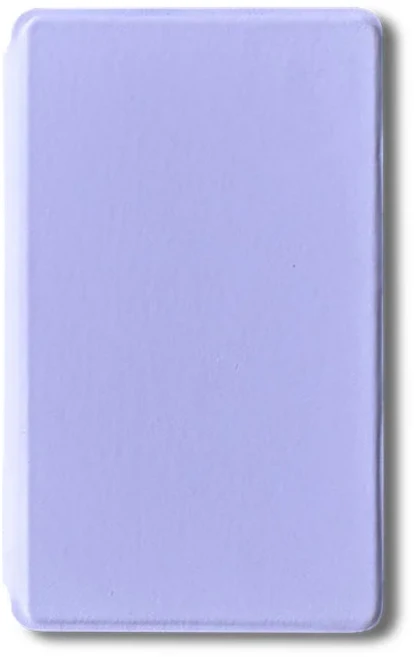 XTEINK X4 전자 책 리더 잉크 스크린 4.3 인치 220ppi 자기 경량 휴대용 초박형 650mAh 32GB, 04 Only CaseB No Reader