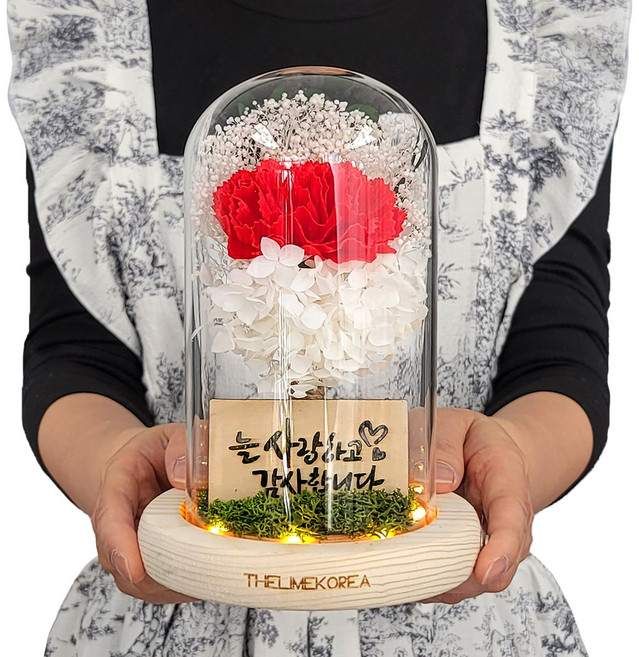 어버이날 카네이션 LED 무드등 유리돔 부모님 선물 꽃조명, 레드, 1개