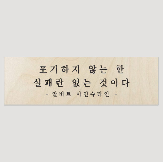 아인슈타인 명언 문패 냉장고자석 부착형 우드명패 14x4.5cm