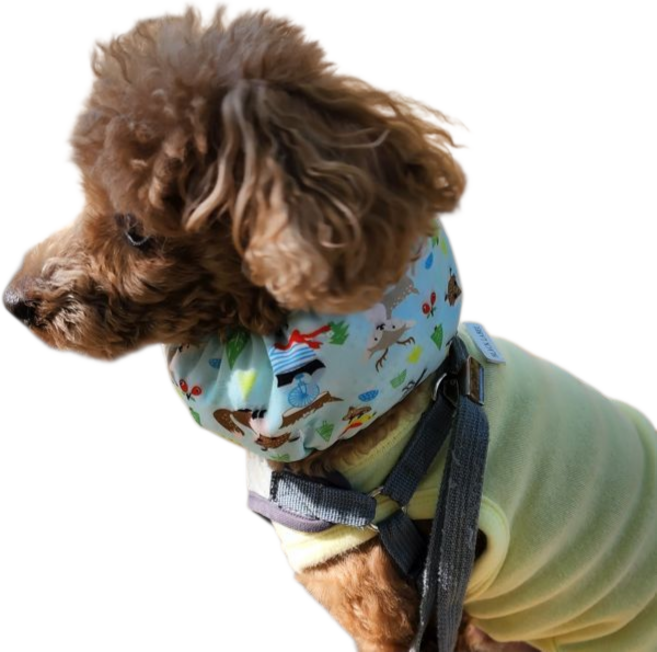 강아지 쿨 스카프 머플러 케이프 목도리 시원한 여름 애견 쿨링 대형견 소형견 중형견 반려견 옷 아이스팩 파우치, M, 그린, 1개