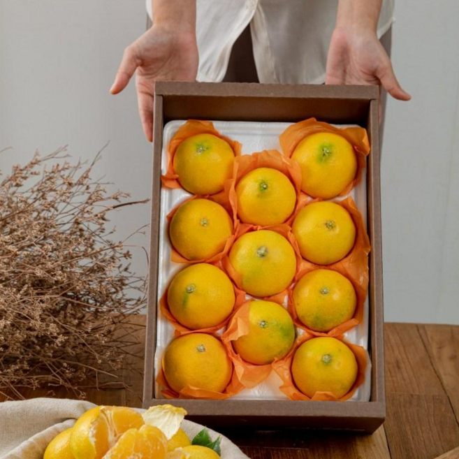 [재구매1위]27일도착보장 천혜향 과일선물세트 진상품 명절선물세트, 1개, 진상품 2번