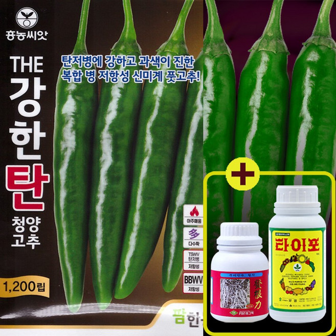 더강한탄 청양고추 1200립 흥농씨앗, 1개