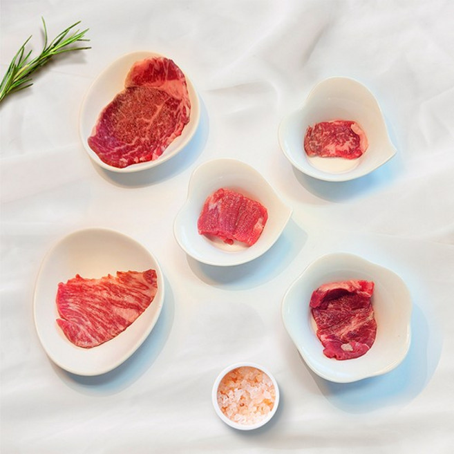 안심+등심+삼각살+보섭살+설깃살 세트 한우 1++ 9등급 (홈파티 키즈), 1개