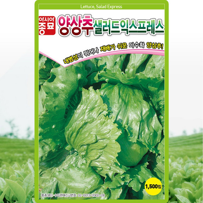 샐러드익스프레스 양상추 씨앗 1500립 양상추씨 쌈채소 종자, 1개