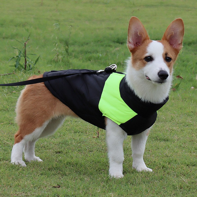 YMB 강아지 겨울옷 프리스 깔깔이 패딩점퍼 4칼라5가지 사이즈 소형중형대형견 방수경량 패딩조끼, 형광
