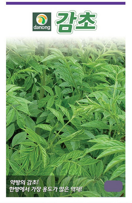 [팜앤리빙] 감초씨앗 5g 씨 종자, 2개