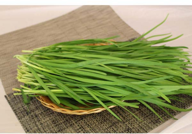 부추(특)4kg 2박스묶음 자연대로팜웨이, 4kg, 2박스