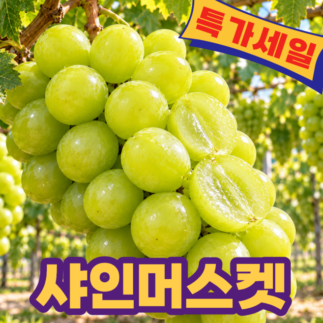 [최대19brix] 고당도 국내산 샤인머스켓 아삭한 포도, 1박스, 특상 2kg (강력추천)