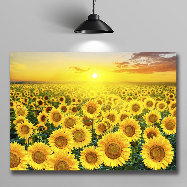 화색갤러리 풍수 인테리어 아침햇살 해바라기 캔버스액자