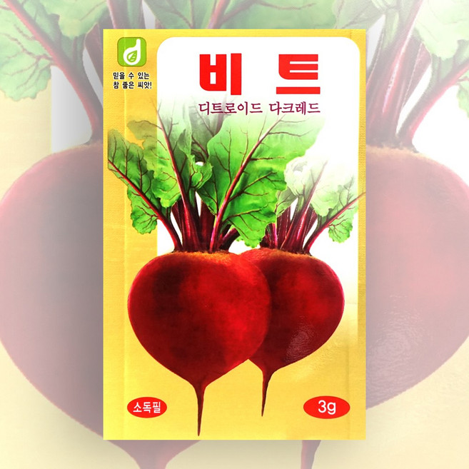 비트씨앗 3g 한국대농종묘 비트키우기 씨앗 종자, 1개