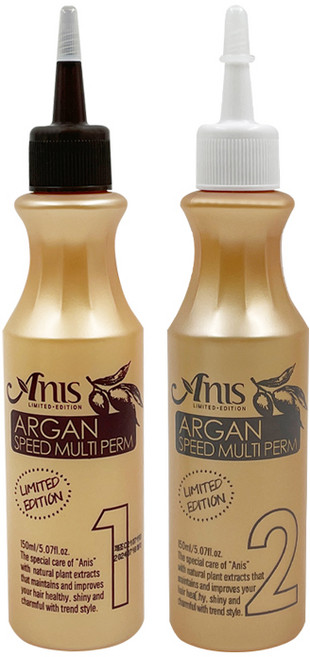 애니스 아르간 스피드 웰빙 멀티펌 1 2제, 150ml, 1개