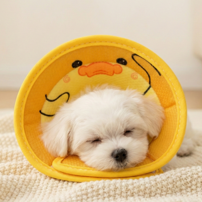 드림베이스 초경량 넥카라 반려동물 3D 통기형 상처 보호 전용 중성화 강아지 고양이 겸용, 옐로덕, 1개