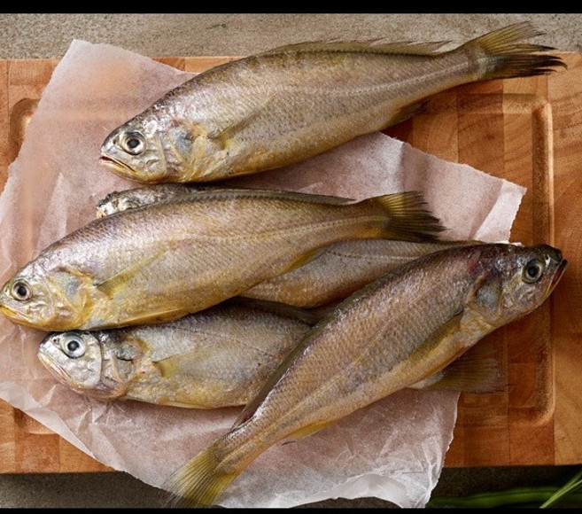 제주바다 참조기 특대(1마리당 120~139g) 조기_5마리, 1박스