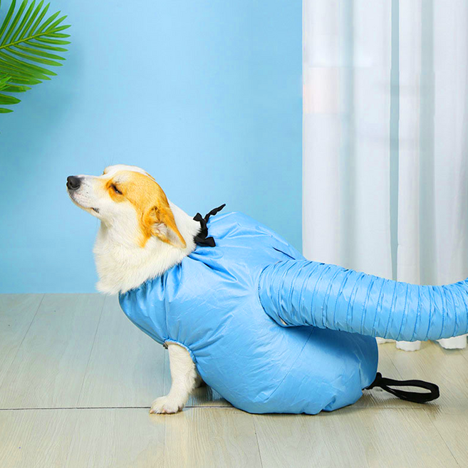 니드원트 강아지 고양이 건조기 드라이룸, 1개, 기본