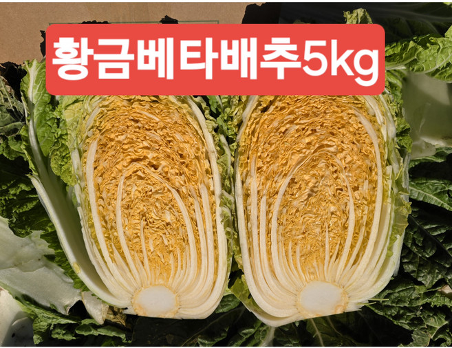 해남 황금배추 5KG(5-6포기) 산지 직송, 1개, 5kg