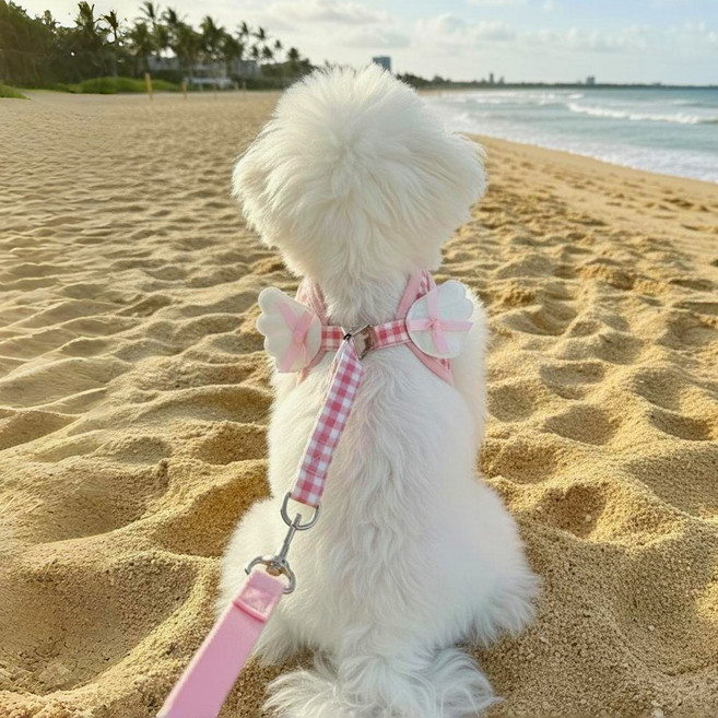 강아지 체크 리본 윙 하네스+리드줄 2종 세트