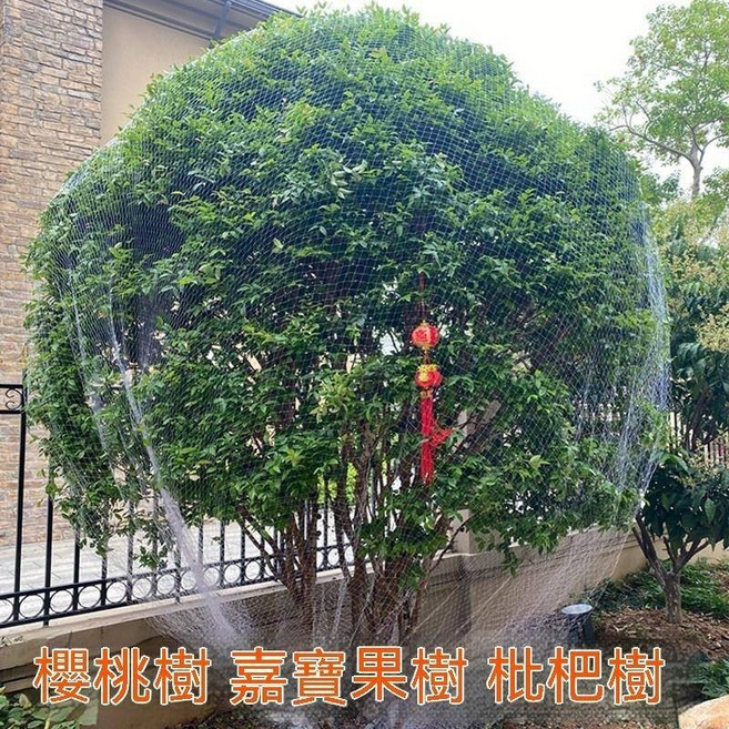 果樹防鳥網罩 無花果櫻桃防護網 果園尼龍紗網 葡萄蔬菜園藝用品 10241024, 1個, 10米x10米【適用3米高果樹】普通款