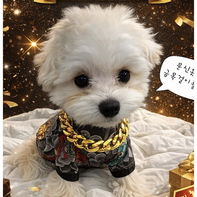 강아지금목걸이 강아지체인목걸이 강아지목걸이, 35+7cm