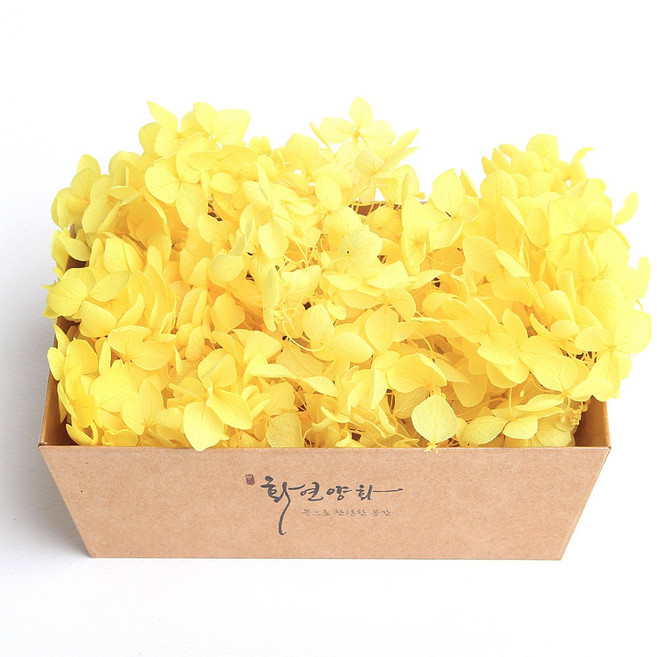 화연양화 프리저브드플라워 블루밍 케이스 수국 30색, 09 옐로