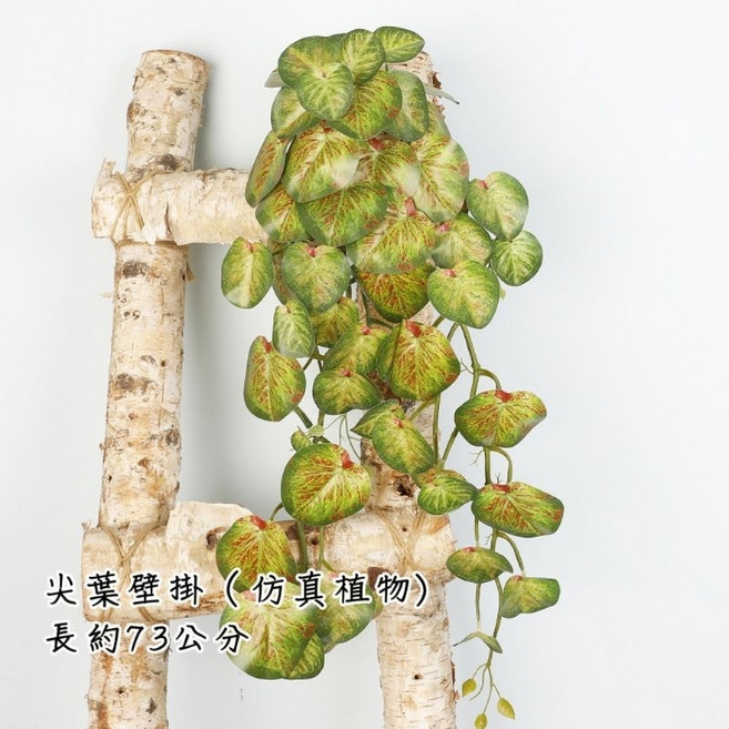 尖葉壁掛 仿真植物 長約73公分, 1個, 仿真尖葉 壁掛