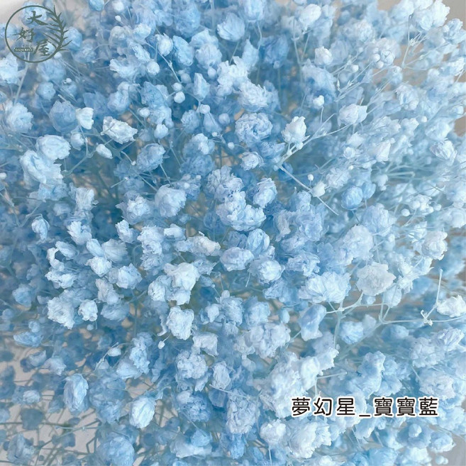 大好屋 永生滿天星 小束裝, 寶寶藍