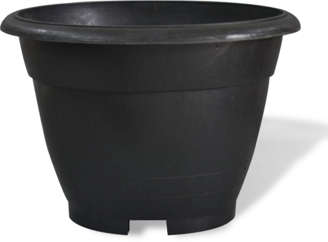 그린컴퍼니 콤보 블루베리 나무 화초 다용도 고무화분 초대형실외용