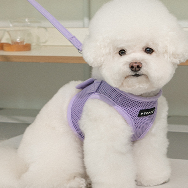 퍼피아 강아지 소프트 베스트 하네스 바이올렛색상 목줄 AH305 소형견애서 대형견까지 쪼끼스타일, 바이올렛, 1개