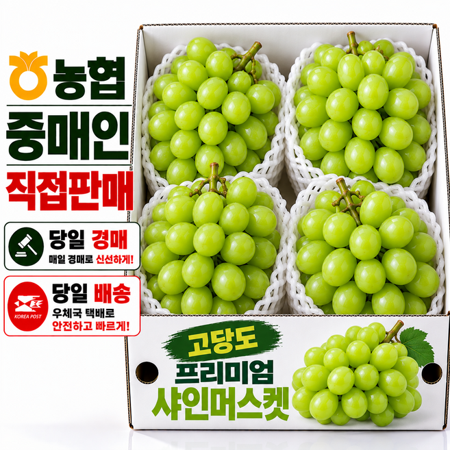 [농협당일경매]고당도 특 상품 샤인머스캣 2kg3-4수, 1박스, [오픈특가]2kg내외