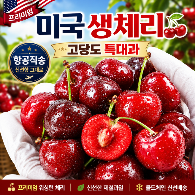 프리미엄 미국산 생 체리 고당도 워싱턴 체리, 1박스, 500g