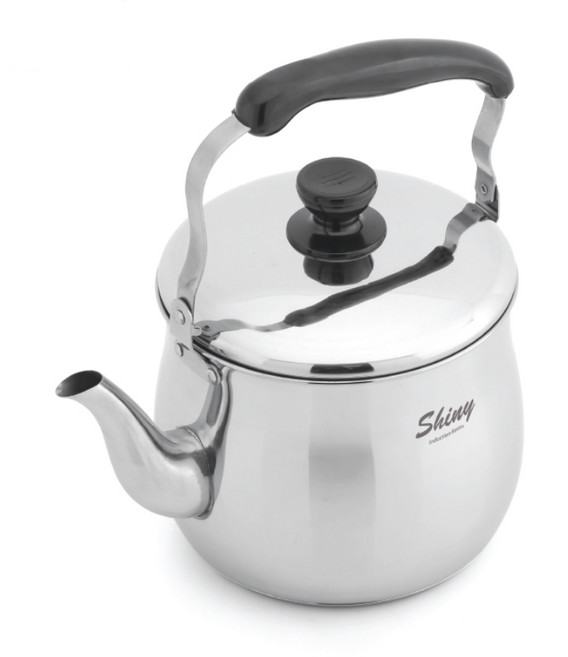 퀸센스 샤이니 인덕션(IH) 주전자 3리터, 1개, 스텐, 3ml