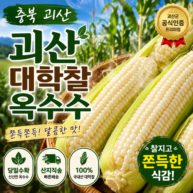 [산지직송] 괴산 대학찰옥수수 특품 17CM이상, 1박스, 10개