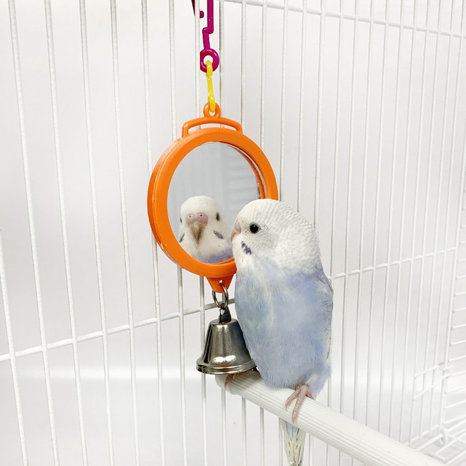 앵무새장난감 딸랑딸랑 거울 장난감 새 앵무새 용품