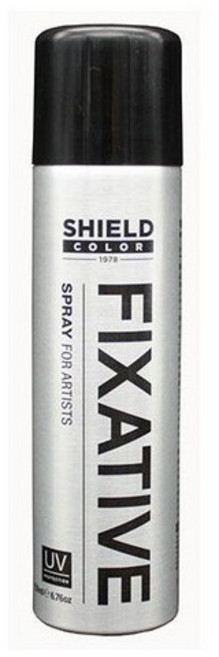 쉴드 픽사티브 150ml 스프레이, 1개