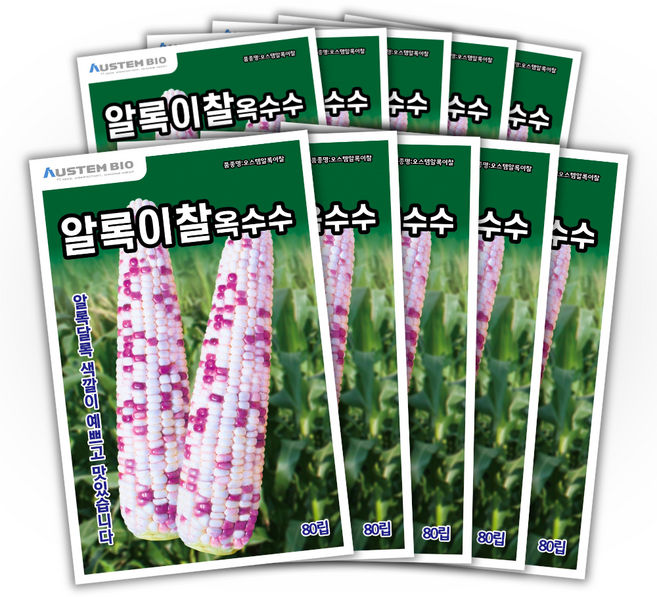 [주주씨앗] 알록이찰옥수수 씨앗 80립 얼룩찰옥수수 씨앗 다수확 통큰 옥수수, 10개